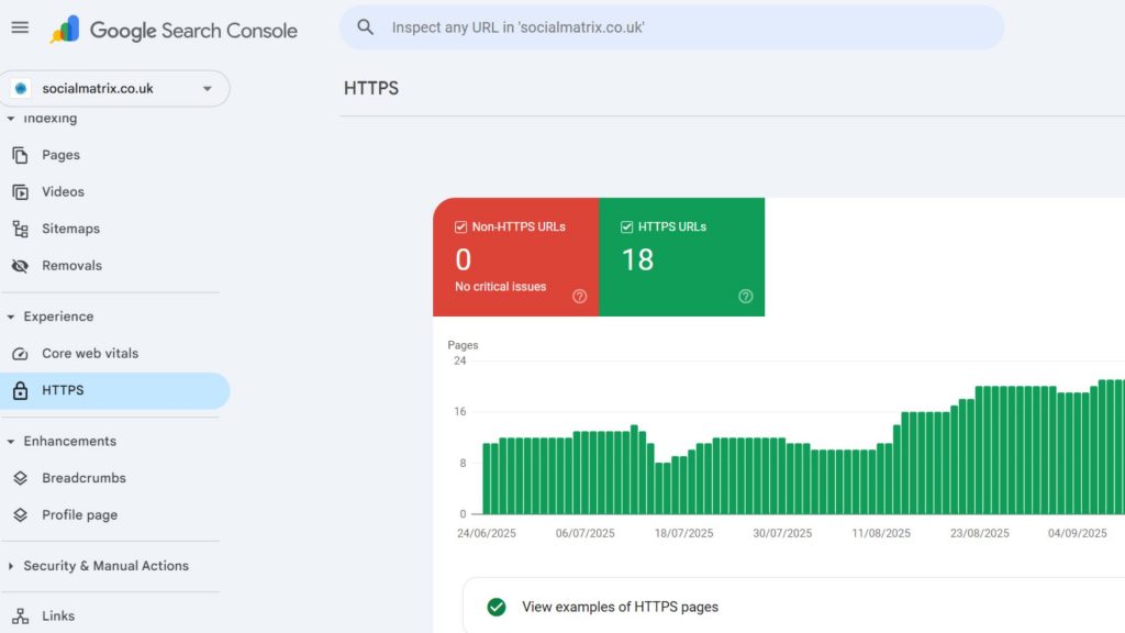 Google Search Console HTTPS report with 18 secure URLs and no issues.