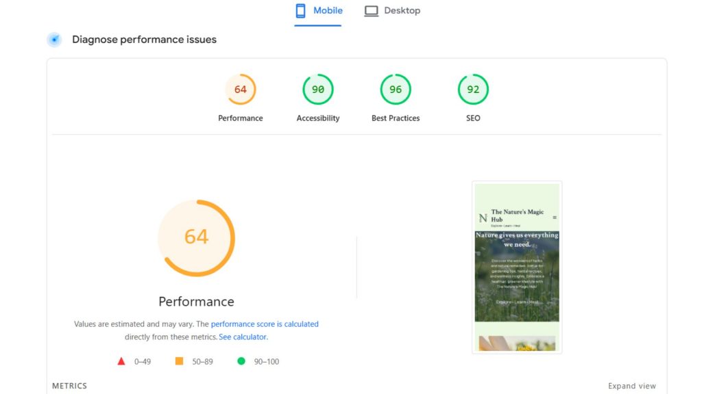Google PageSpeed Insights performance score 64 for mobile with SEO and accessibility results.